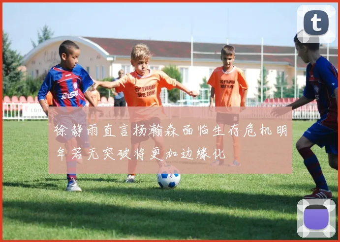 徐静雨直言杨瀚森面临生存危机明年若无突破将更加边缘化
